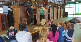 Take a Moment to Ask