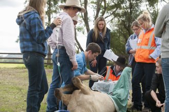 Tocal Agricultural College students gaining practical skills