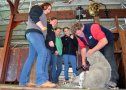 Inverell’s MacIntyre High School Year 10 students Jessika Coakes, Alison Sims, Sara Johnson and Sophie Kasteltan with shearing instructor Ross Thompson.