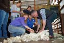 Deputy Premier of NSW, the Hon. John Barilaro was under close supervision as he had a crack at shearing. Macintyre High School students and those involved in the Wool Works Shearing School at Glen Innes in June 2019.