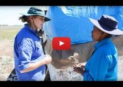 Watch the Case Study Video - Australian Cotton Research Institute